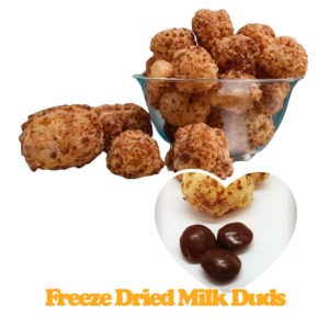 #28 🍫 Milk Duds 
(Share Size 32 oz. By Volume Reusable Deli Tub) 
if backordered will take 24-48 hours to make

**Do not ship well please don’t order for shipping.